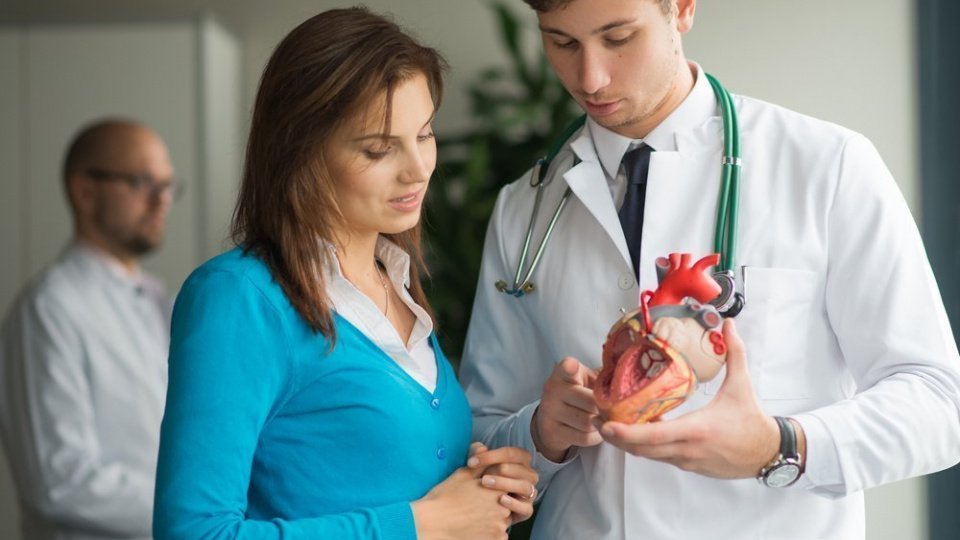 Сердечно-сосудистая система: анатомо-физиологические особенности