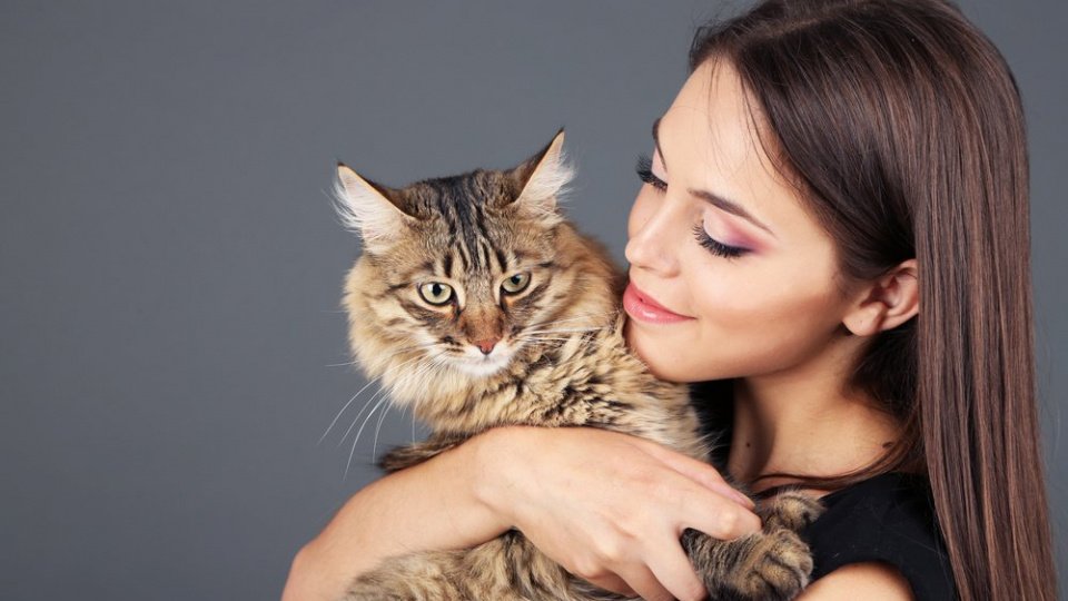 Паразиты от домашней кошки: миф или угроза?