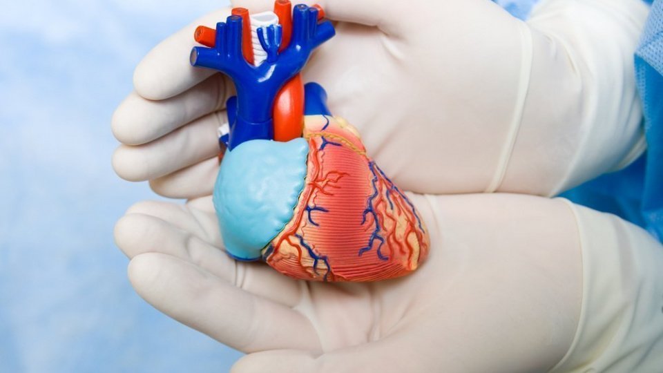 Гипертрофическая кардиомиопатия: лечение сердца