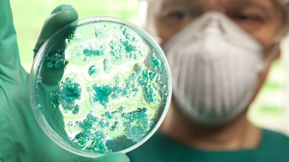 Инфекция бактериальная и вирусная: отличия и характеристики