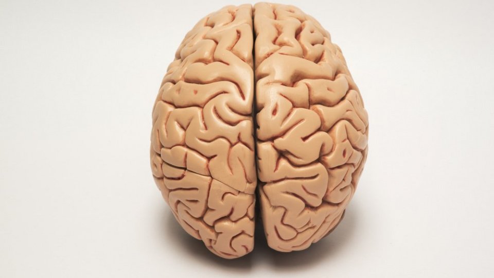 Киста головного мозга: осложнения и лечение