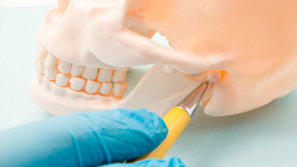 Если щелкает сустав челюсти: что скажет стоматолог?
